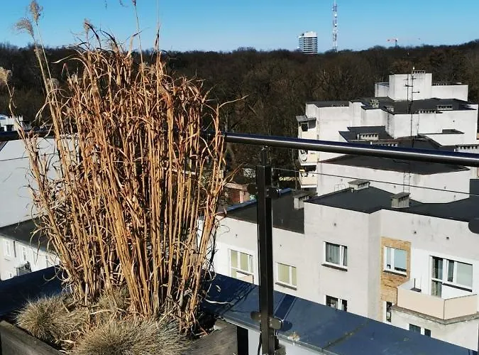 Paula Apartman Swinoujscie